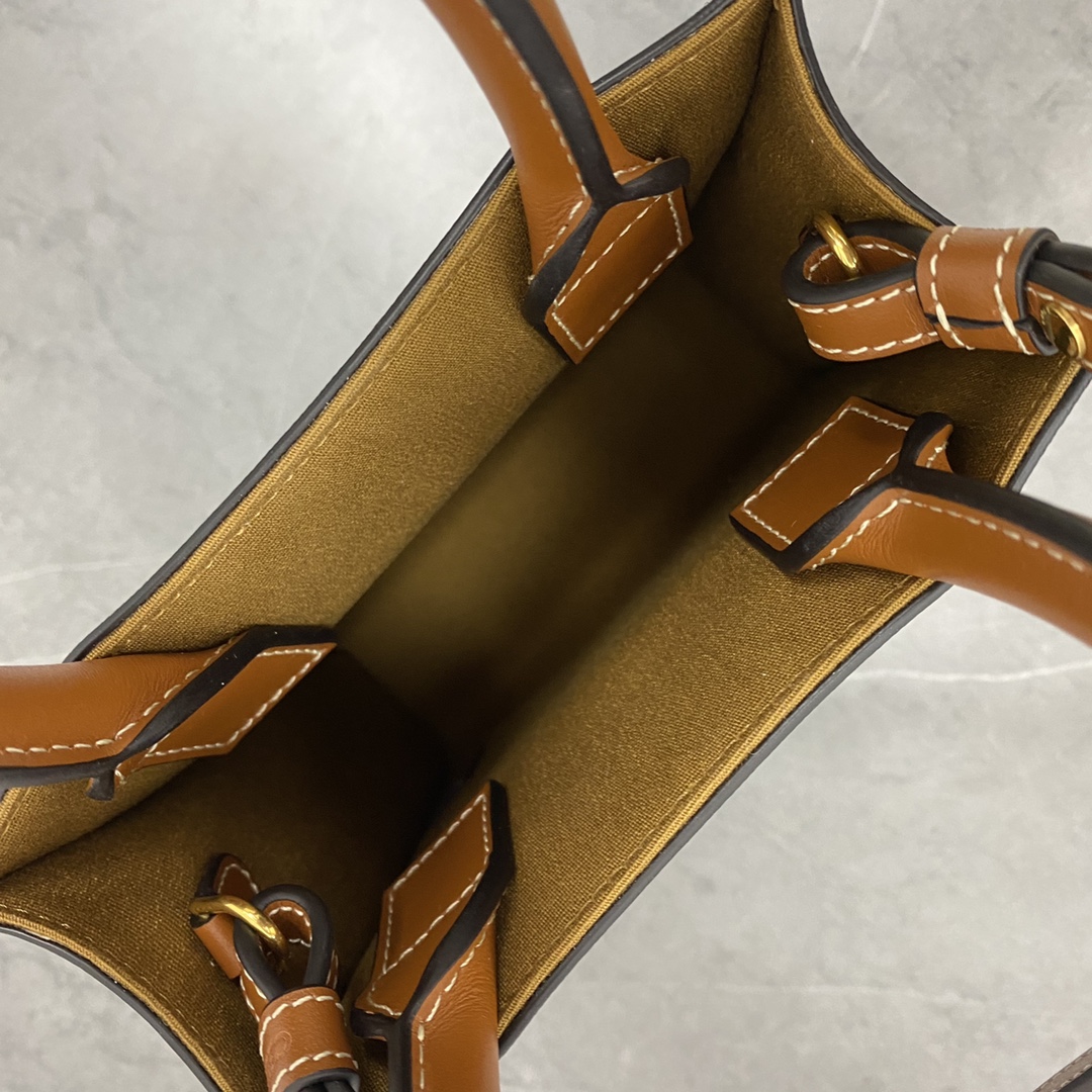 Celine Mini Vertical Cabas In Triomphe Canvas And Calfskin With Celine Print Tan 193302